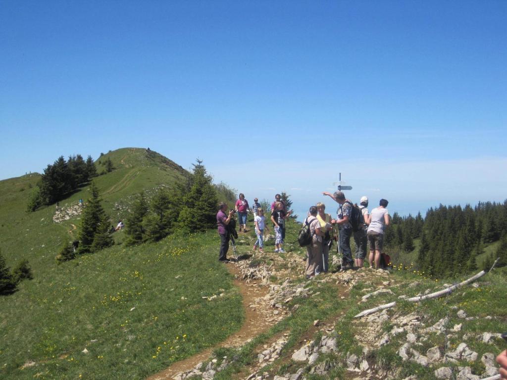 Apart Greber Andelsbuch Exterior photo